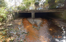 Example of an existing Hooffs Run Culvert