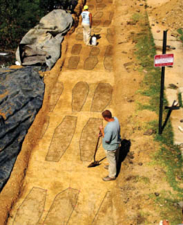 Outlines of rows of grave shafts at Contrabands and Freedmen Cemetery excavation