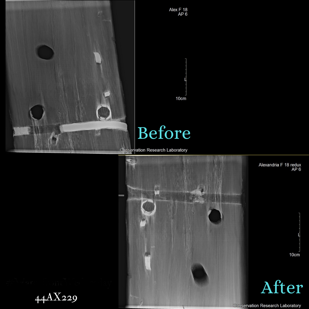 Hotel Indigo Ship 1 x-rays
