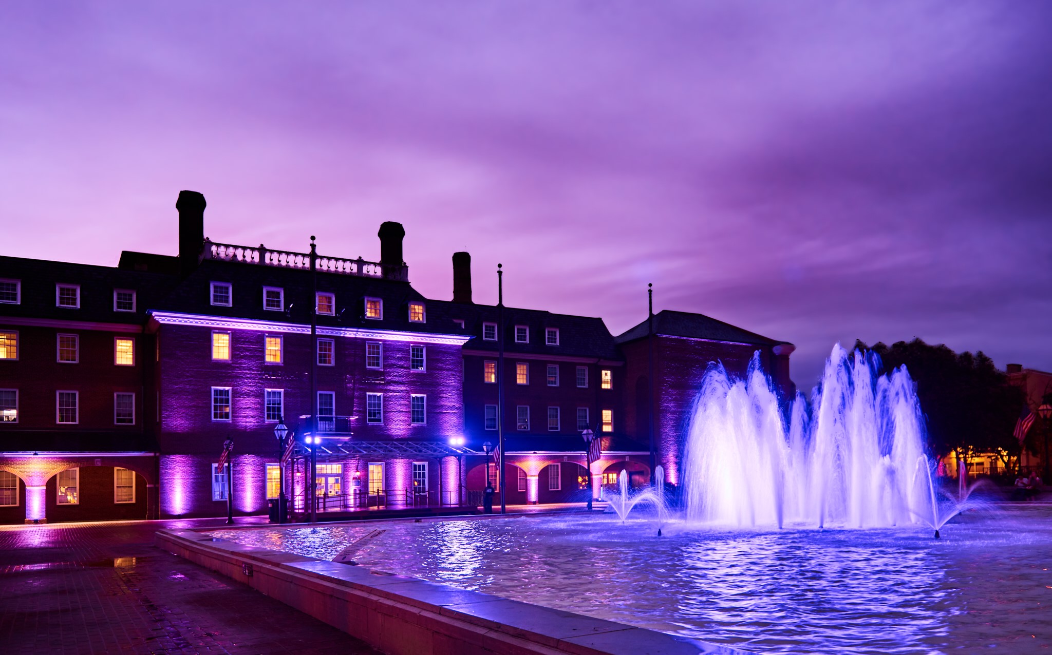 City Hall Purple International Overdose Awareness Day 2020