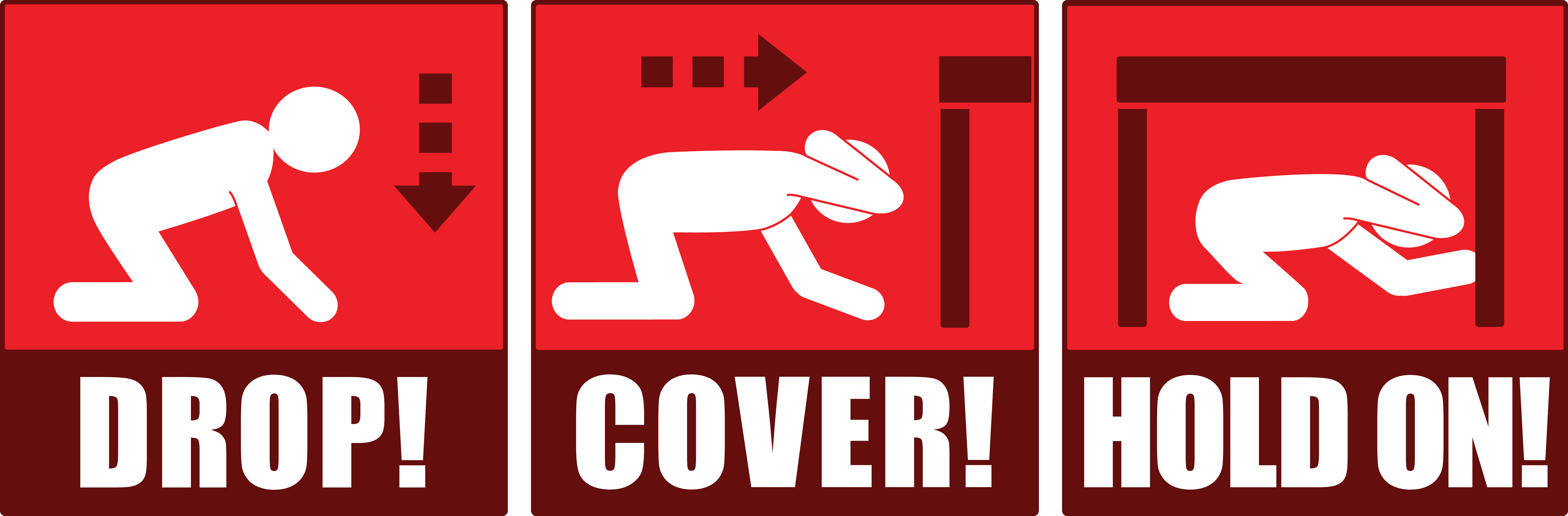 Drop, Cover, and Hold On during an earthquake.