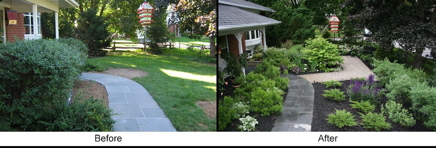 Conservation Landscaping image