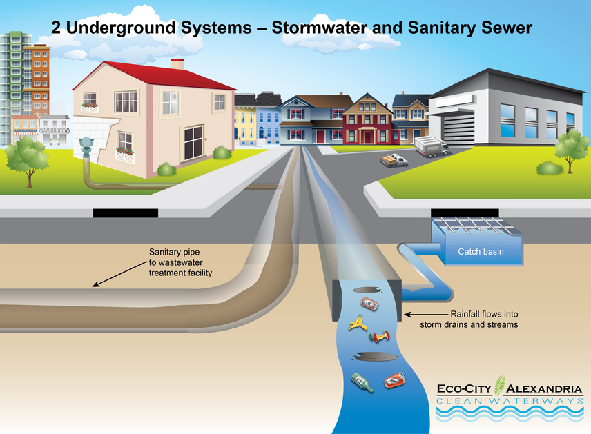 Separate Sewer System infographic