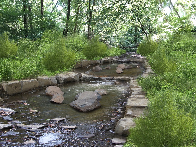 Taylor Run Stream Restoration City of Alexandria, VA