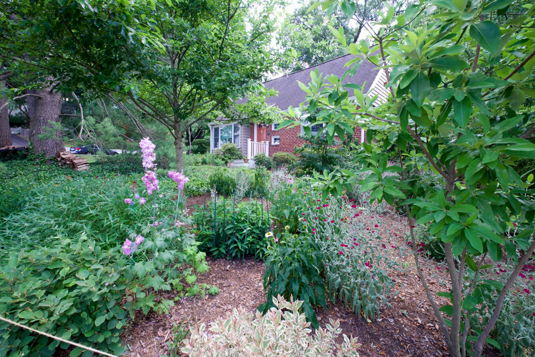 498 N. Latham St. 2