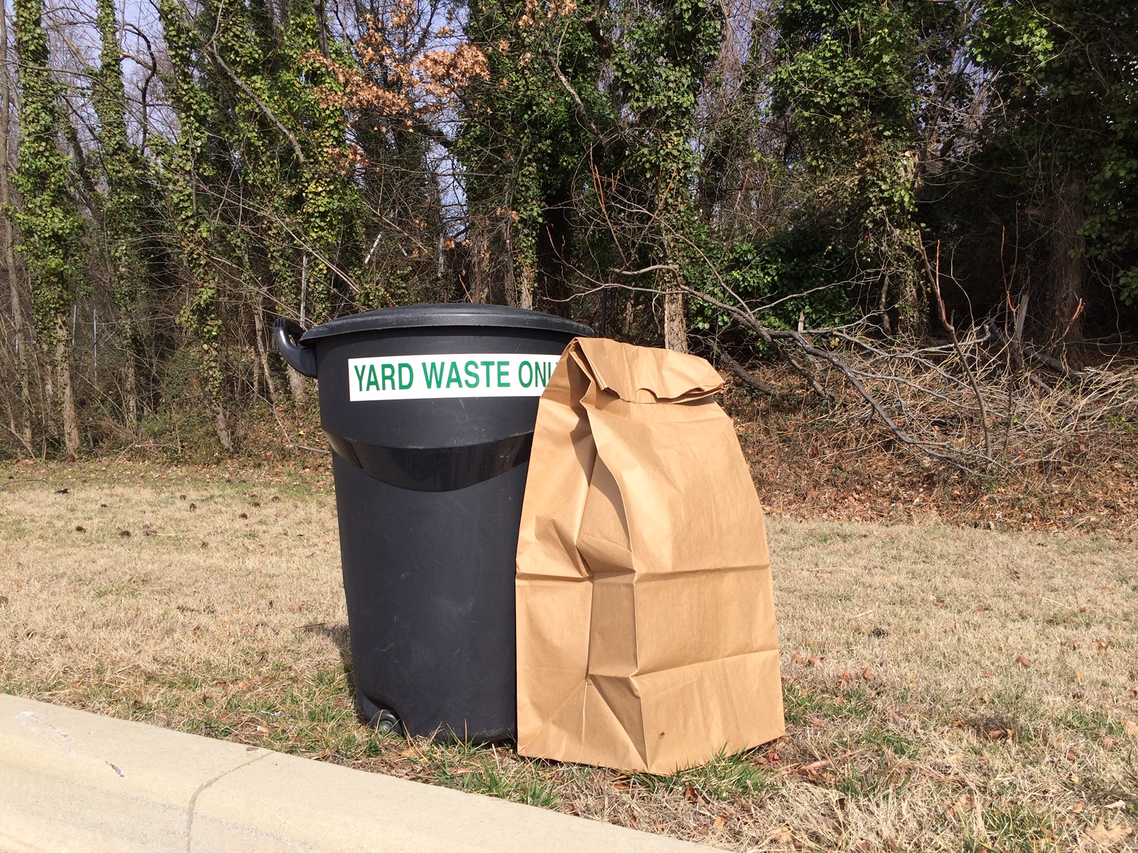 Yard waste container and paper bag for yard waste collections