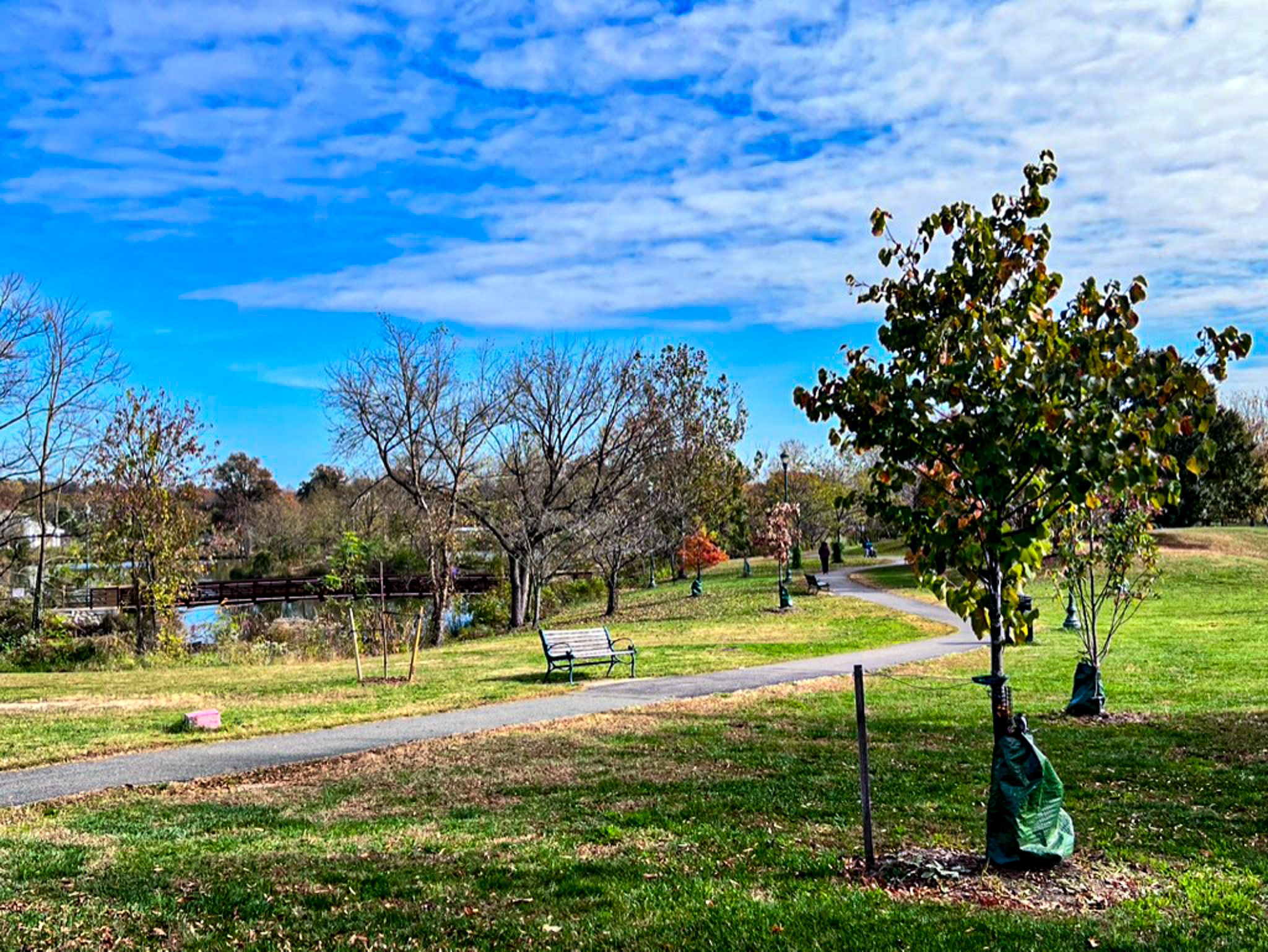 RPCA Community Award Winner 2022 Beautification Ben Brenman Park Image