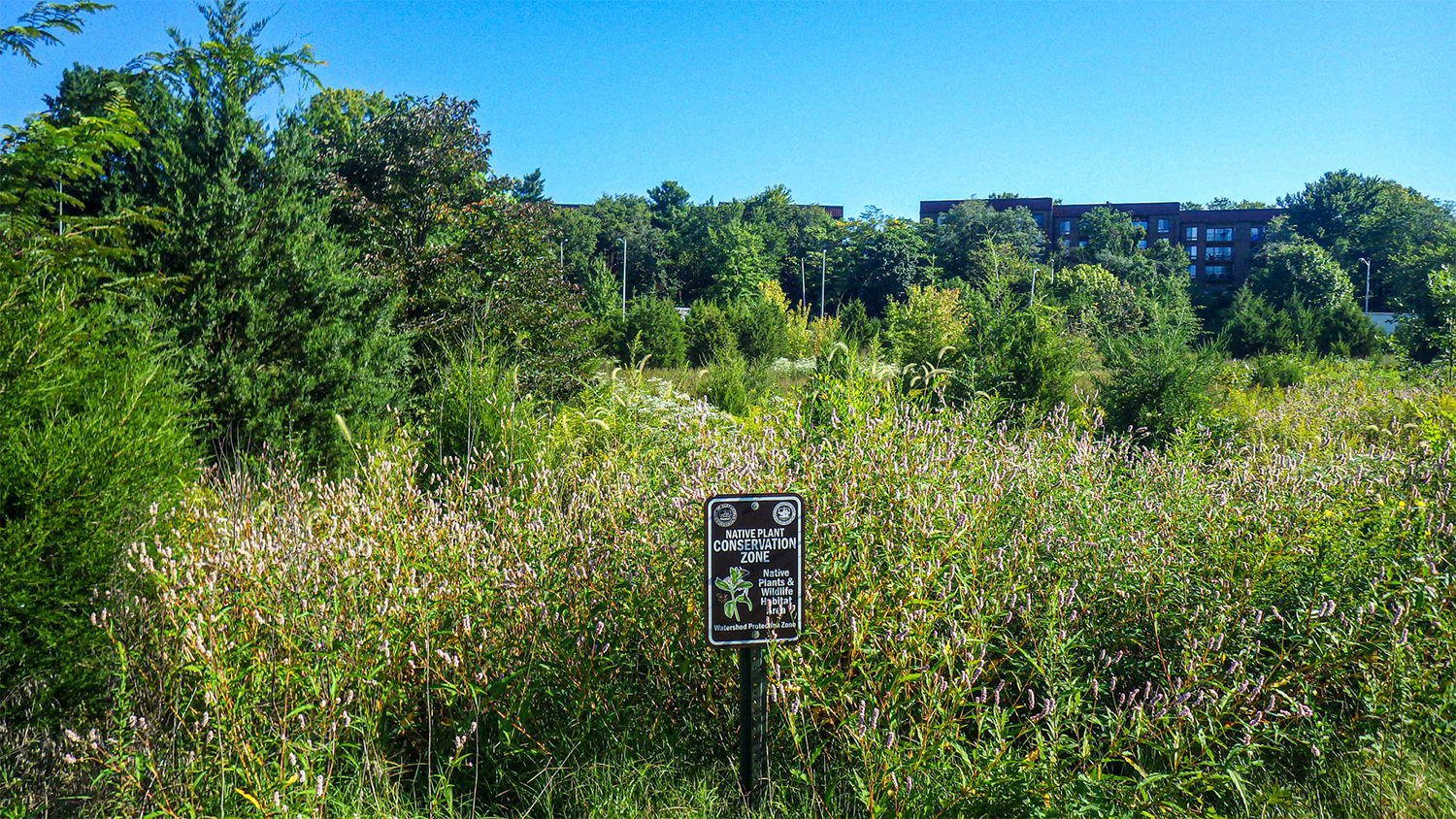 Telegraph and Duke Meadow Complex with Native Plant Area Sign in front