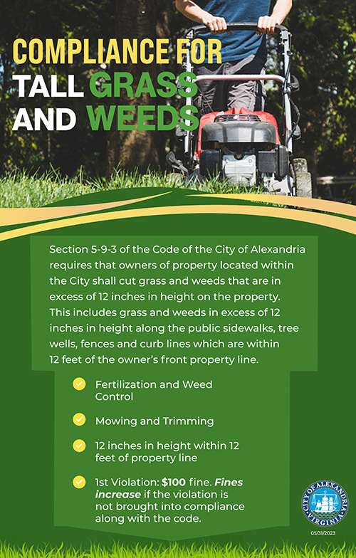 Lawn Mowing Poster - 500x784