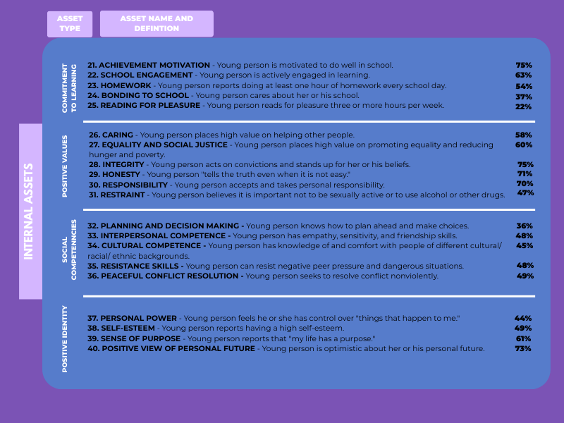 Internal Assets Graphic