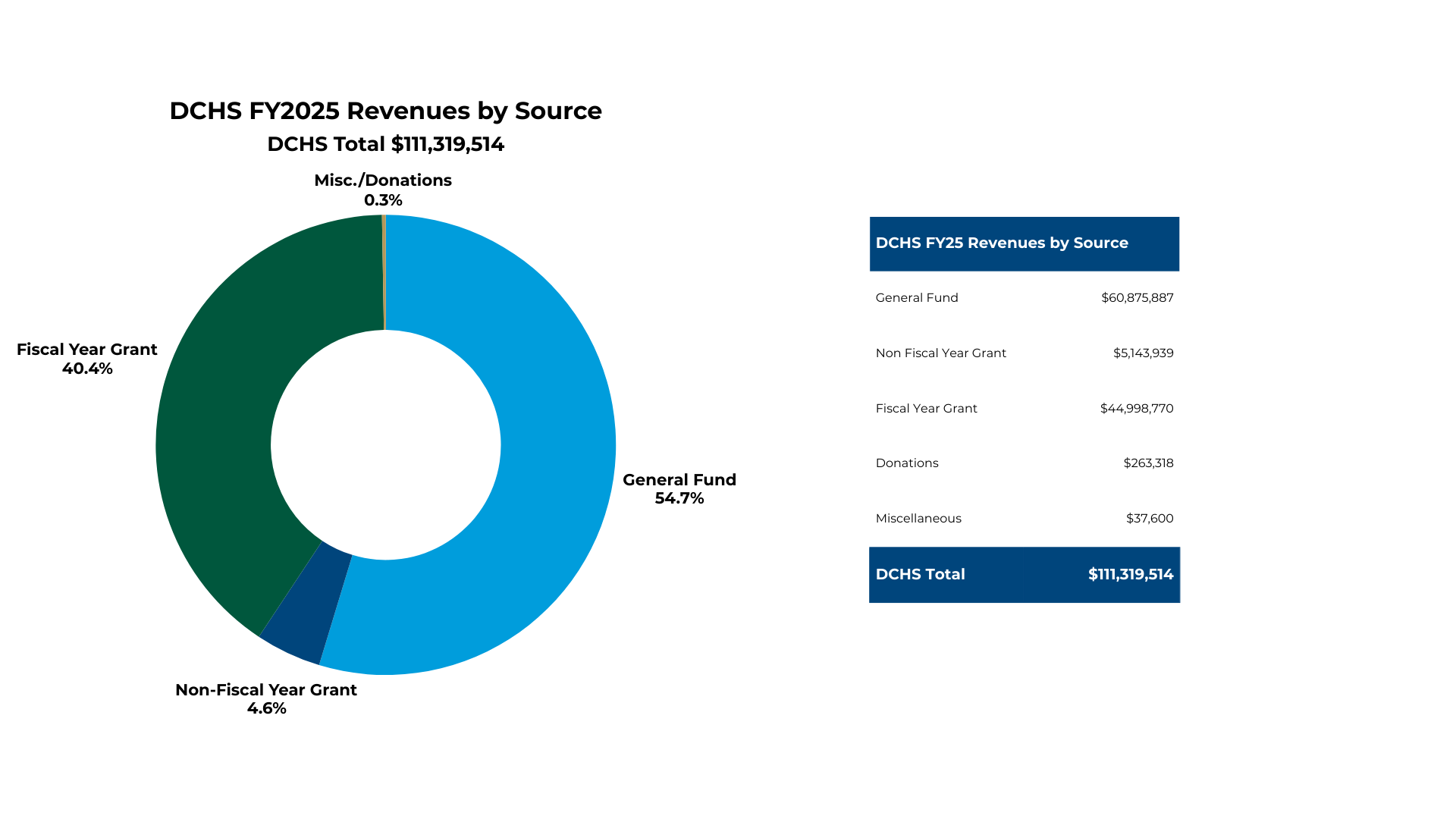 Donut chart showing DCHS FY2025 Revenues by Source