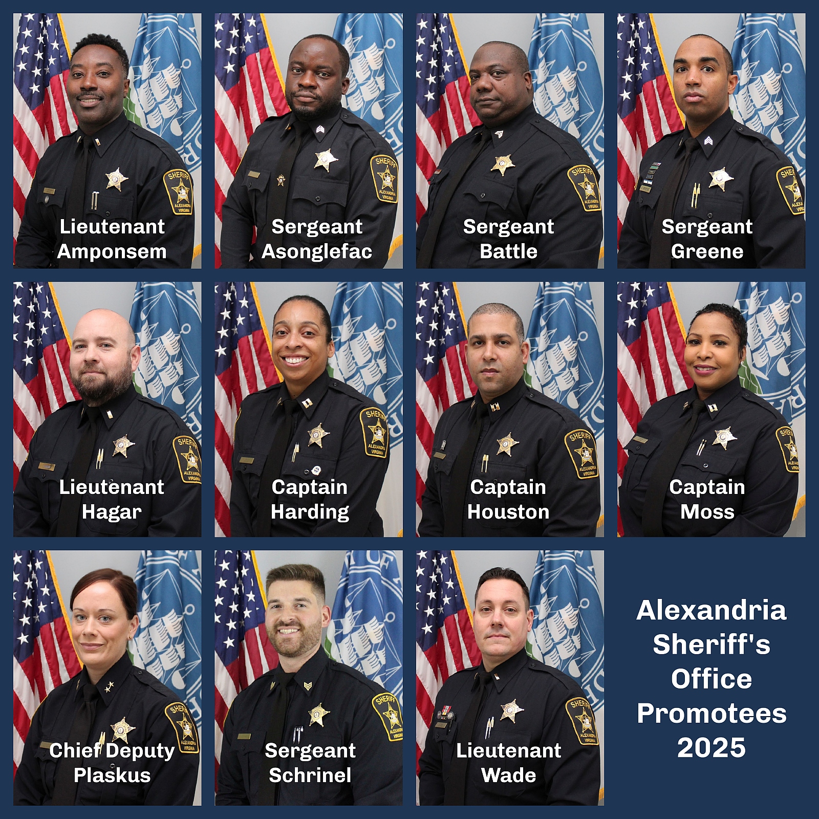 Collage of eleven individual official portraits of deputies with flags in background and their names below