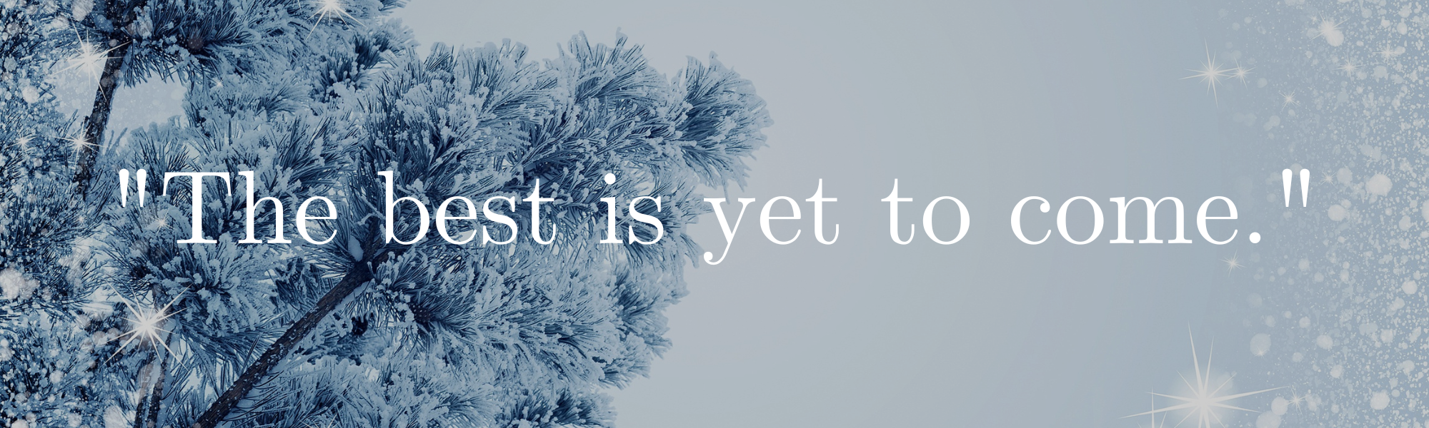 Banner: The best is yet to come DECC 2