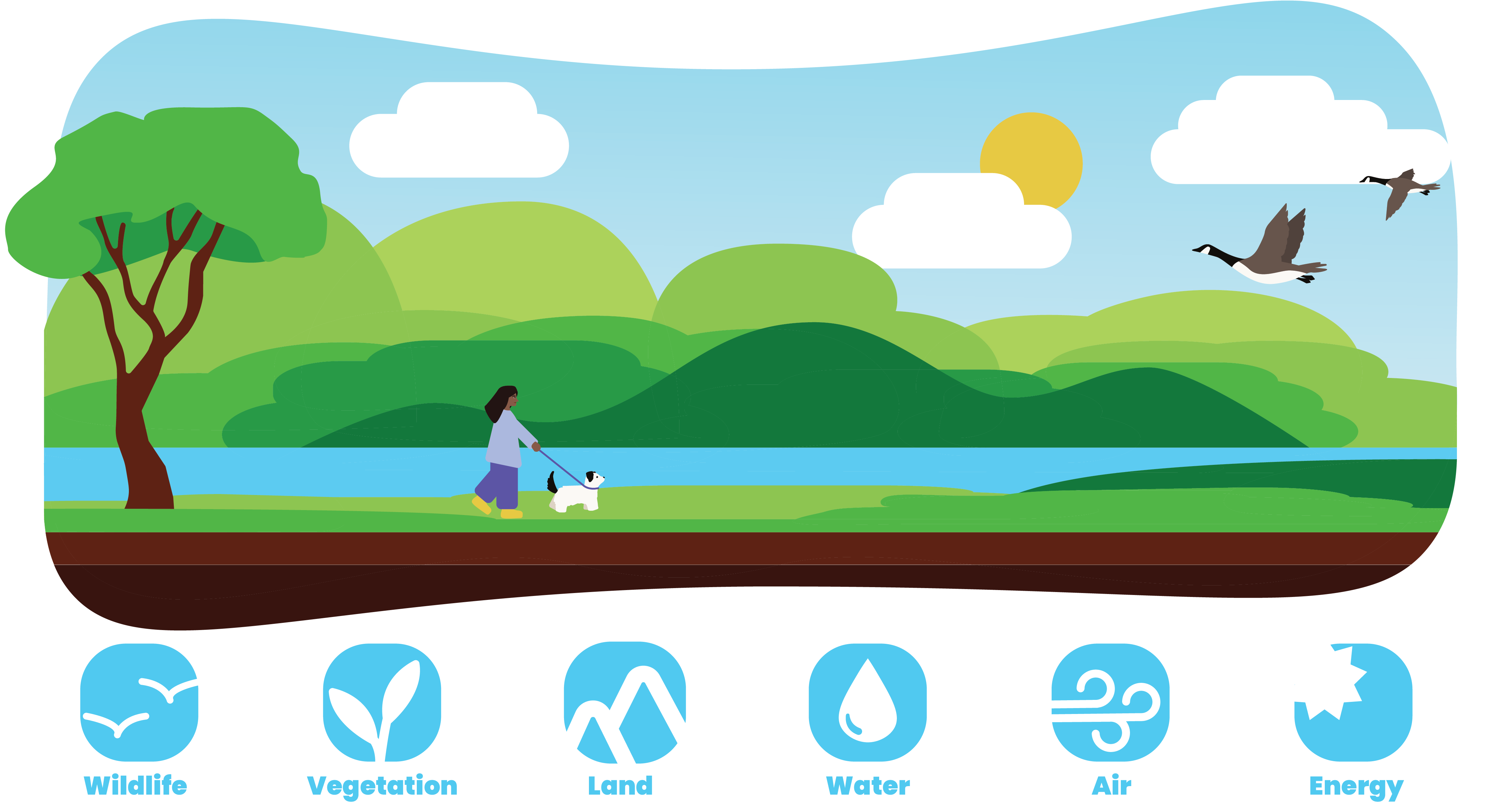 Image of natural resources graphic in hues of green and blue