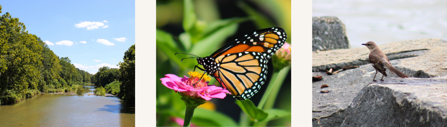 Natural Resources Webbox