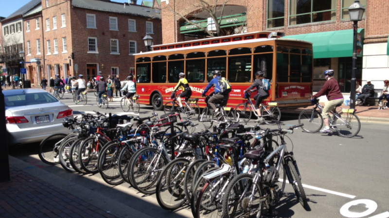 A photo of a bicycle corral filled with parked bikes on lower King Street in Alexandria