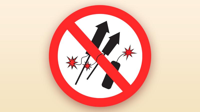 Fireworks Prohibited image