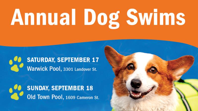 Annual Dog Swim 2022 Image