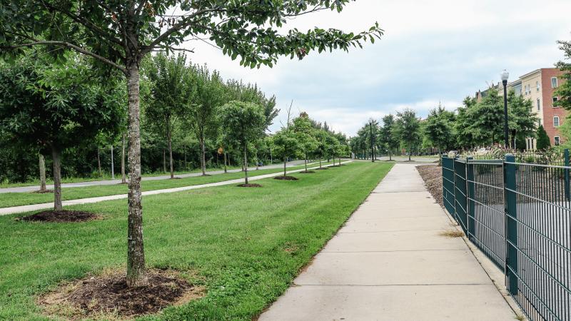 Potomac Yard Park Image 19