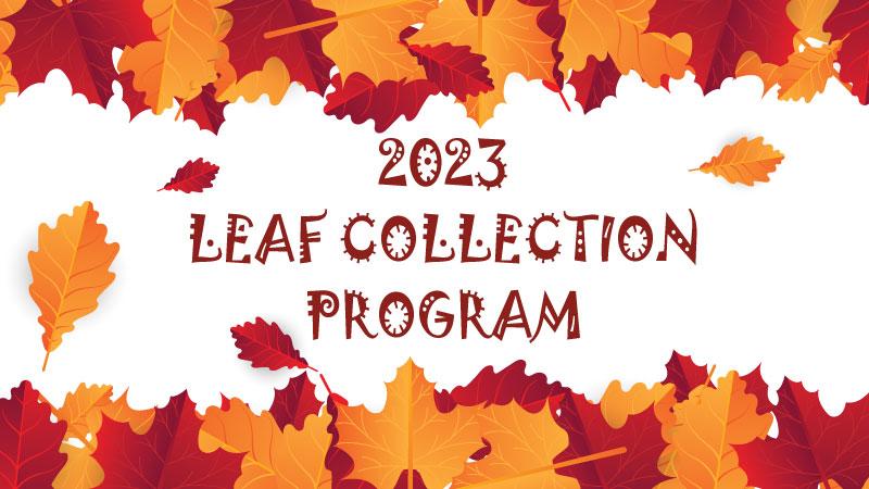 2023 Leaf Collection Web Box