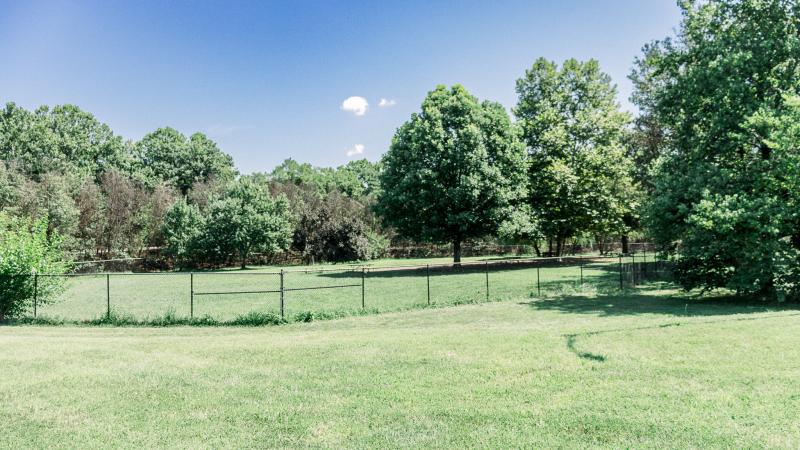 RPCA ROrme Duke Street Dog Park 1