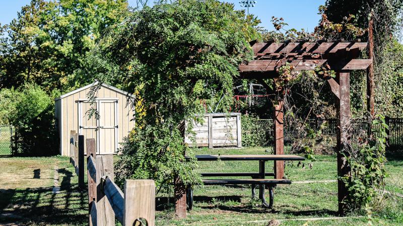 RPCA RO Dale Street Community Gardens 1