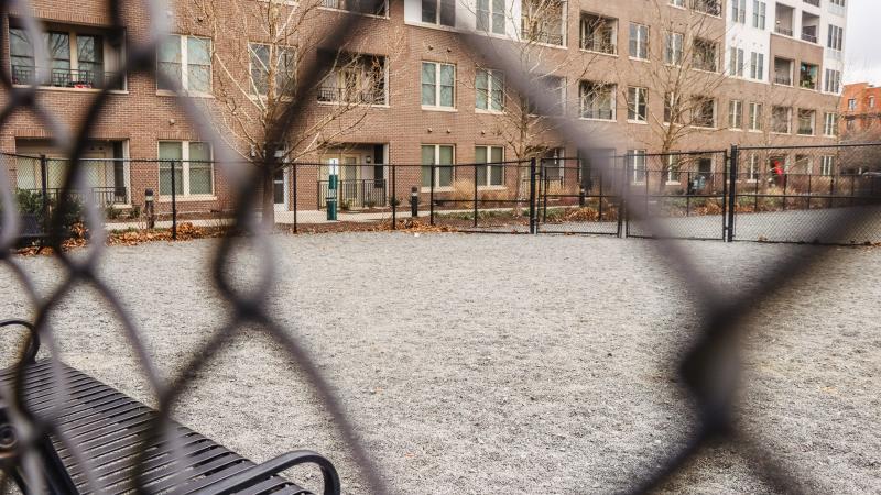 RPCA RO Monroe Ave Dog Park 6