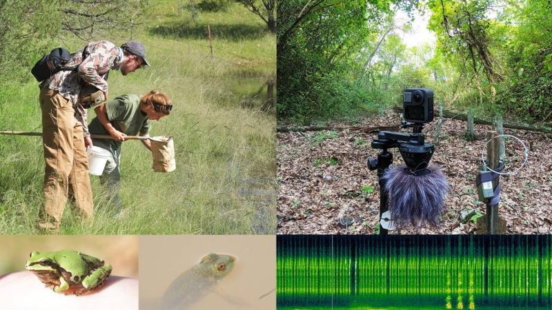 people walking around nature with cameras 
