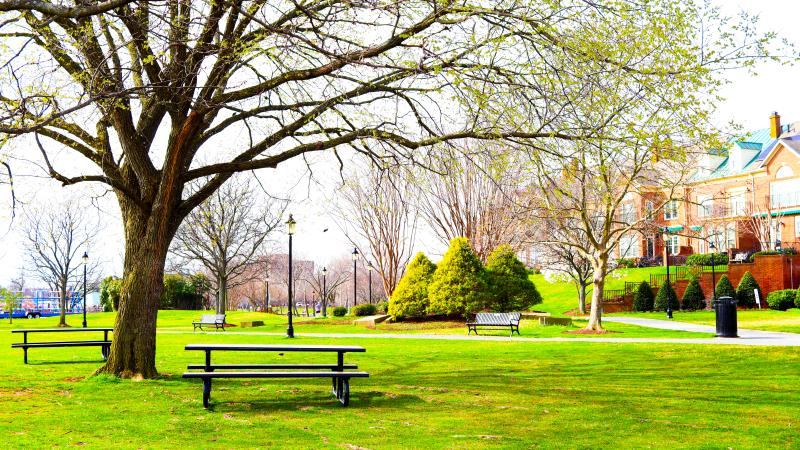 RPCA Rivergate City Park 08 Ebielen