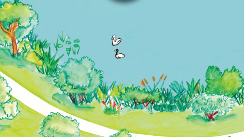 Drawing of the forebay at Ben Brenman pond