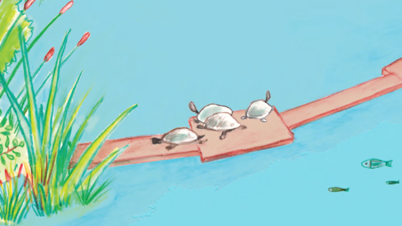 Drawing of the weir wall at Ben Brenman pond