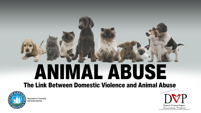 Animal Abuse