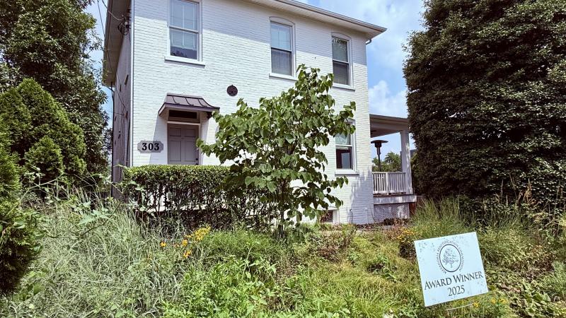 Image of a white box house with a very green front yard and tall shrubs