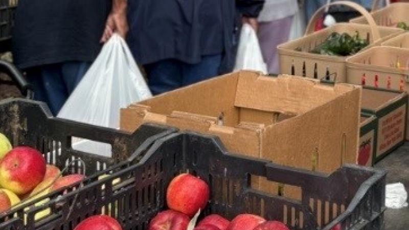 Picture of apples and people in line shopping for produce