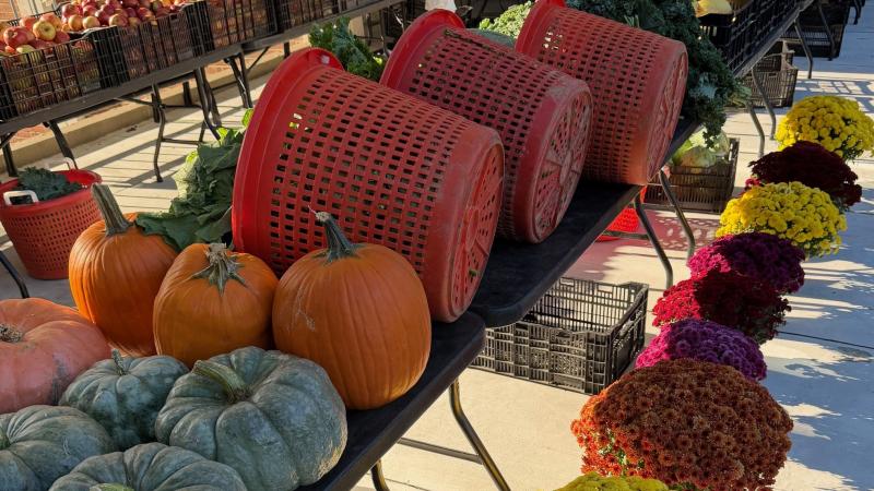 Picture of produce from farmers market
