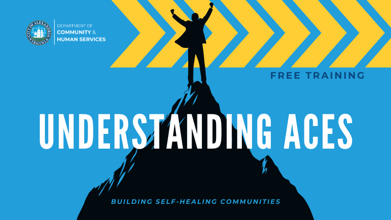 understanding_aces_800_x_450_px.png