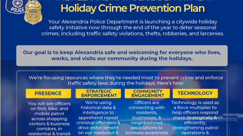 Holiday Crime Prevention Plan Flyer 