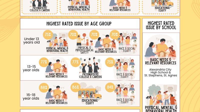 Issues Disaggregated by Subgroups