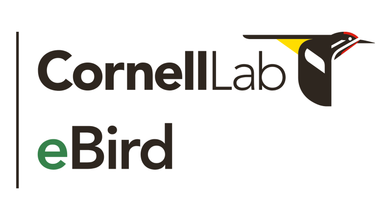 Logo of Cornell Lab eBird with the bird logo on the right