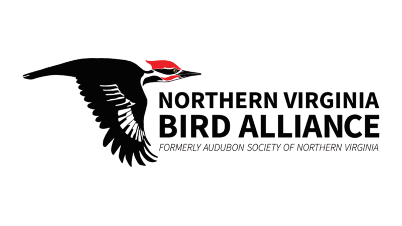 Logo of the Northern Virginia Bird Alliance