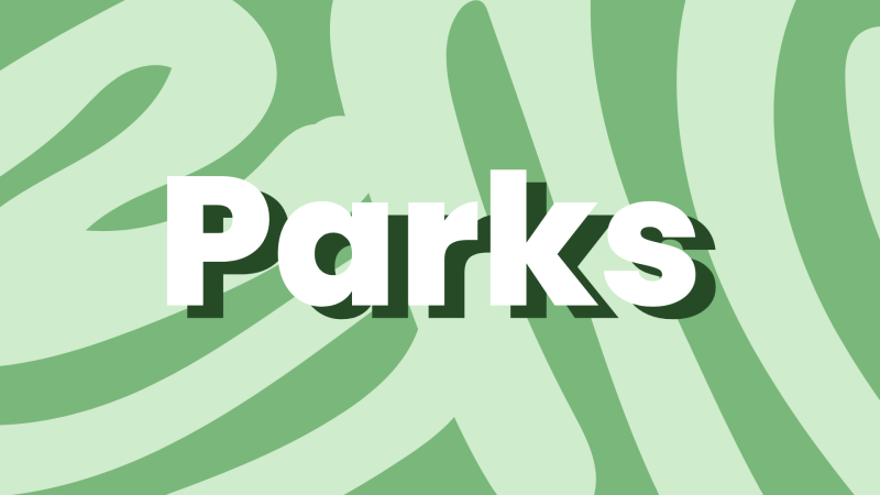 Word Parks in white with a dark green shadow on top of squiggly lines in shades of green