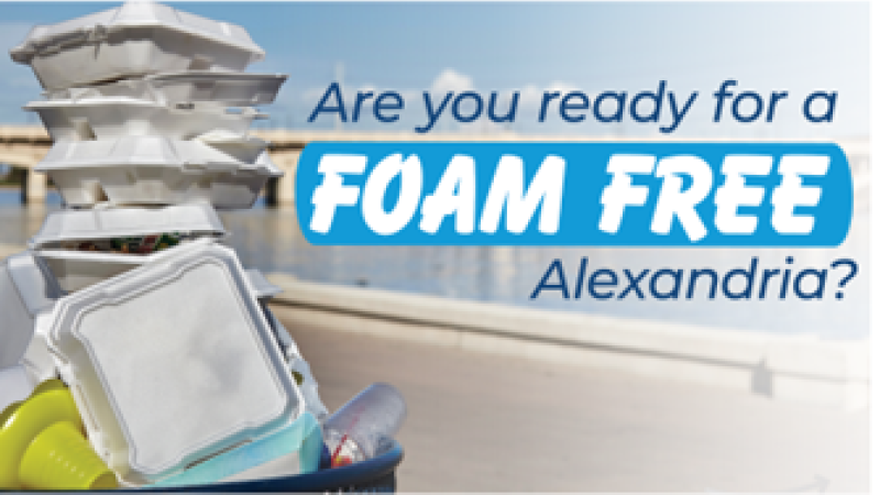 Foam Free Alexandria