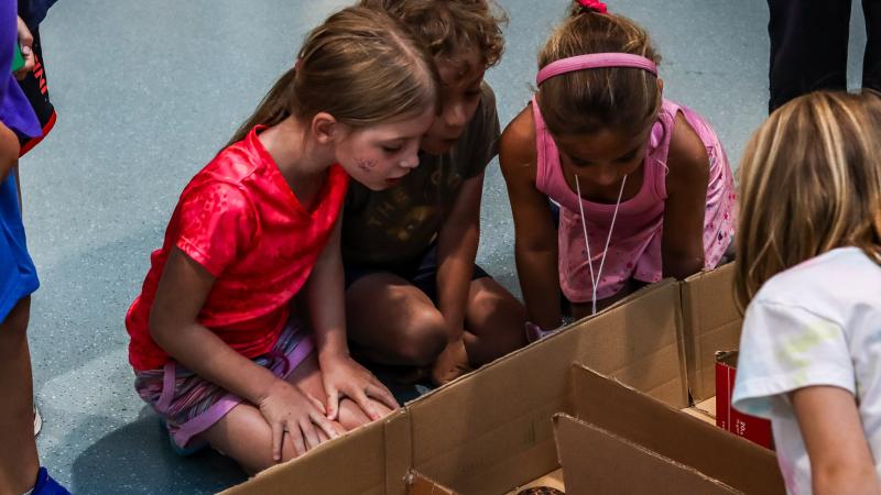 Three girls and one boy gathered on the floor around a cardboard box watching a turtle
