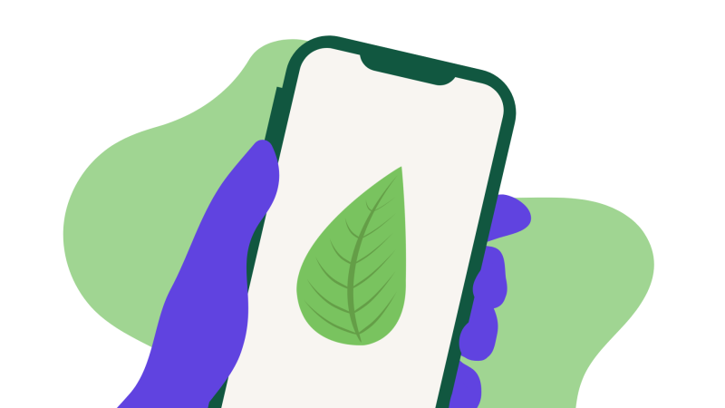 purple hand holding a green cellphone with a green leaf on it