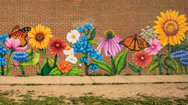 Mural Brianna Camp Webbox