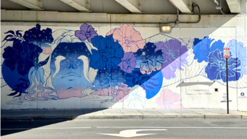 Mural Marcella Verchio Webbox