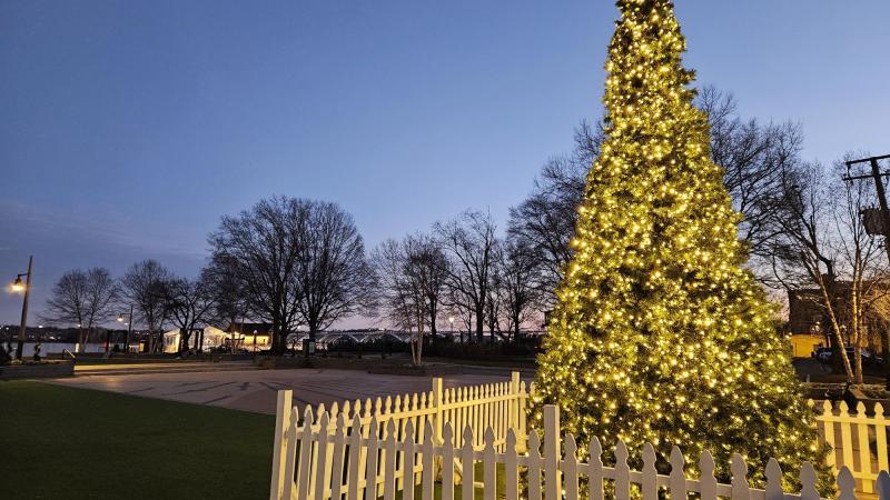 holiday tree on waterfront with sunset and trees in background