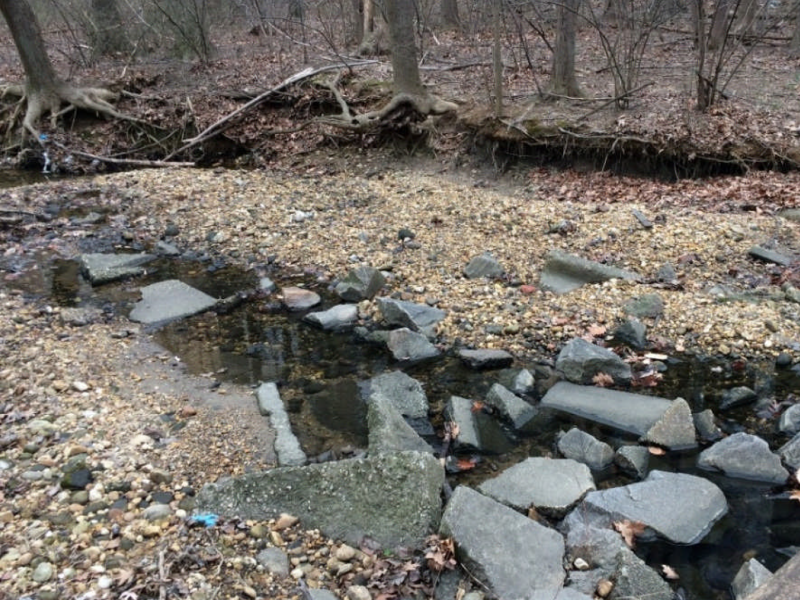 Lucky Run Stream photo