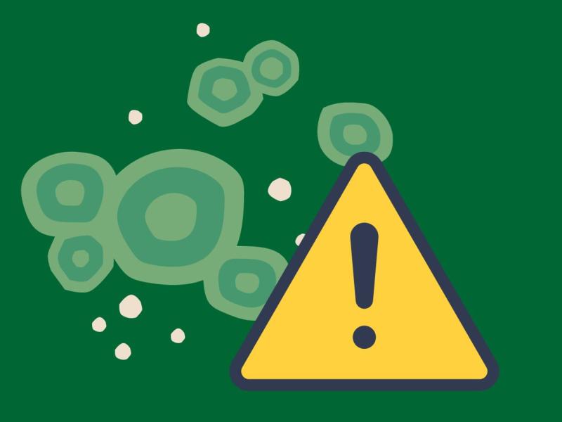 mold with hazard exclamation point in front