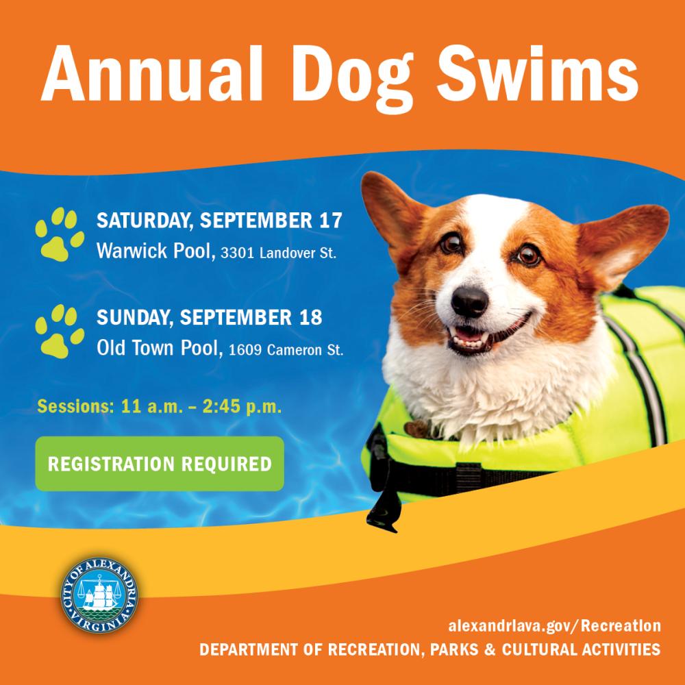 Annual Dog Swim 2022 Image